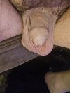 IMG_20251027_071452666.jpg