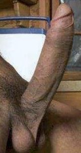 Bicurioushubby