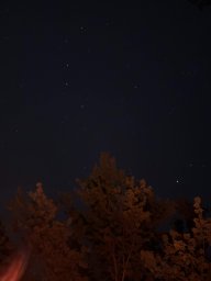 WhiskeyTangoFoxtrot556