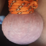 Willy1ball