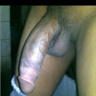 hardick5