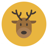 Moosey