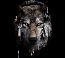 loneWolf1