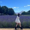 LavenderHaze