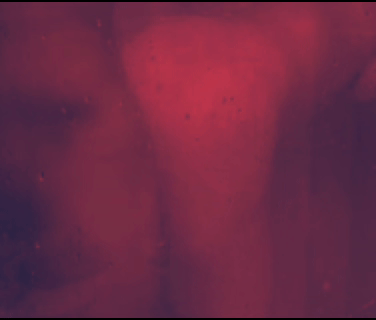copy_1AB4FE86-FA5D-447D-9220-5CE482B1628F.gif