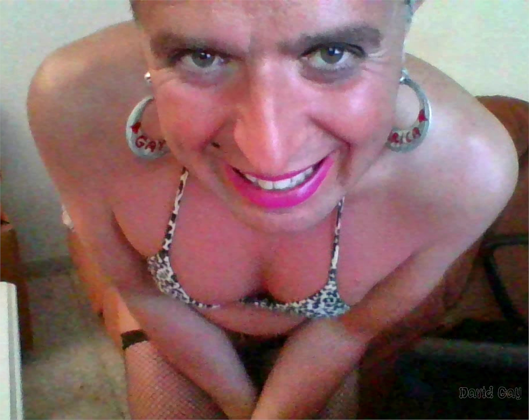 Davilica Mariconcita.png